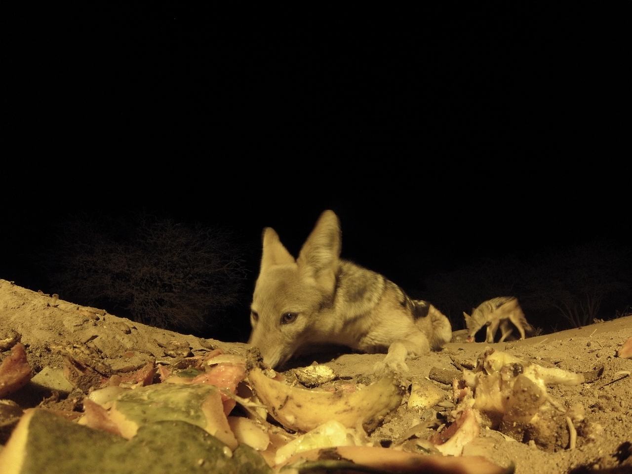 [9965] 2016_06_23_18_48_44_Africa_Hero3-Silver_Edition_IMG__00570.jpg