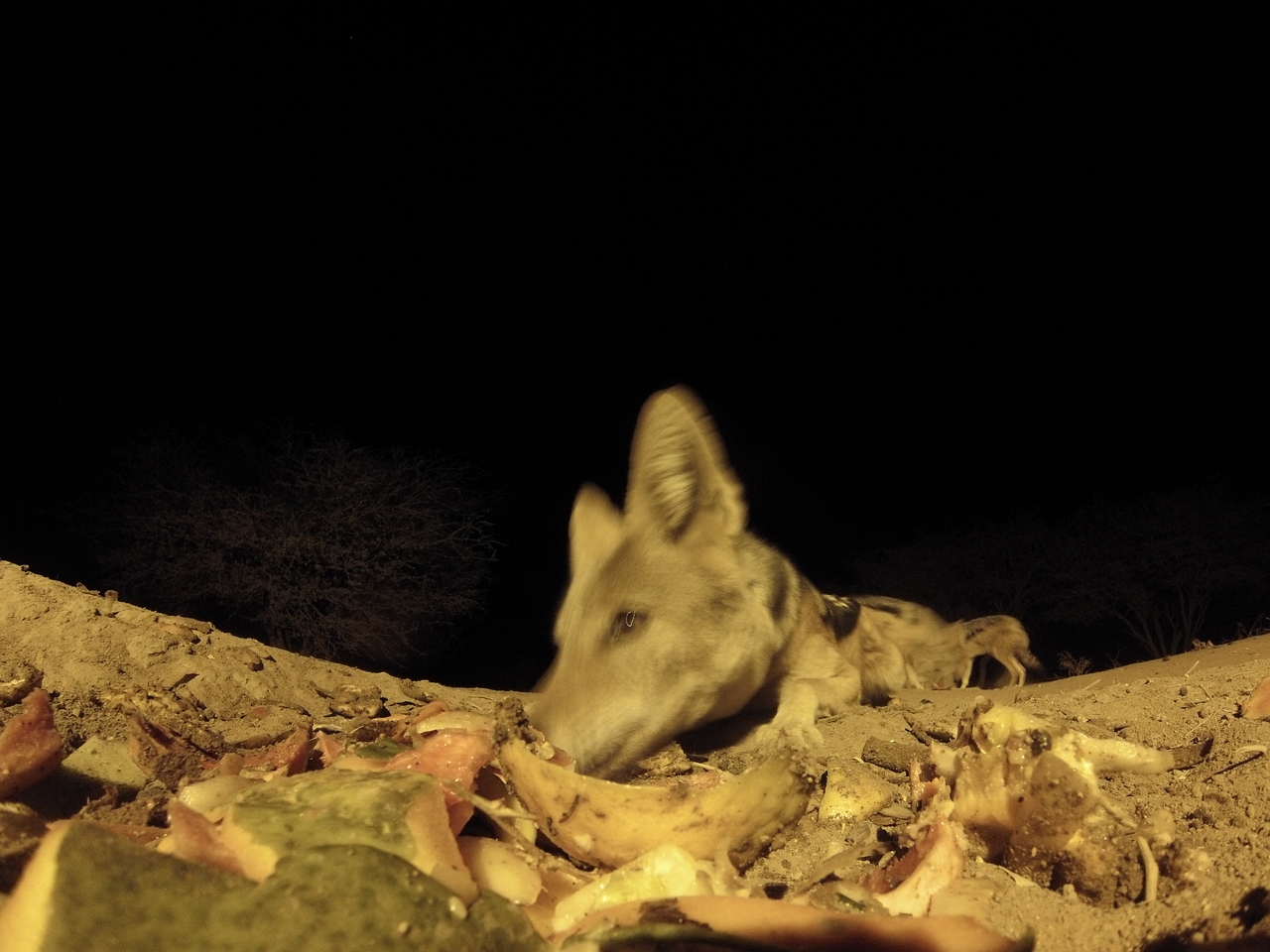 [9969] 2016_06_23_18_48_48_Africa_Hero3-Silver_Edition_IMG__00572.jpg