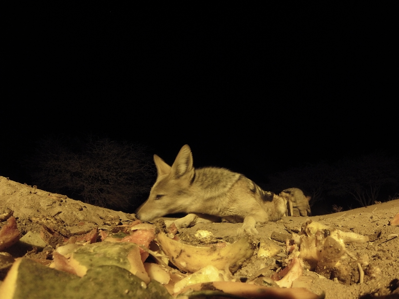 [9971] 2016_06_23_18_48_50_Africa_Hero3-Silver_Edition_IMG__00573.jpg