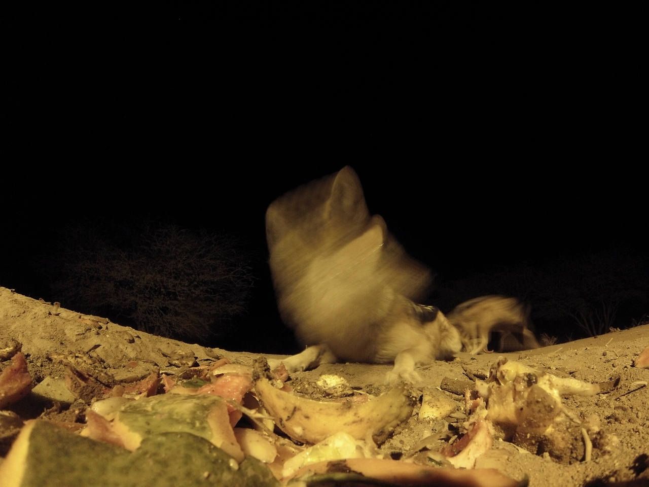 [9973] 2016_06_23_18_48_54_Africa_Hero3-Silver_Edition_IMG__00574.jpg