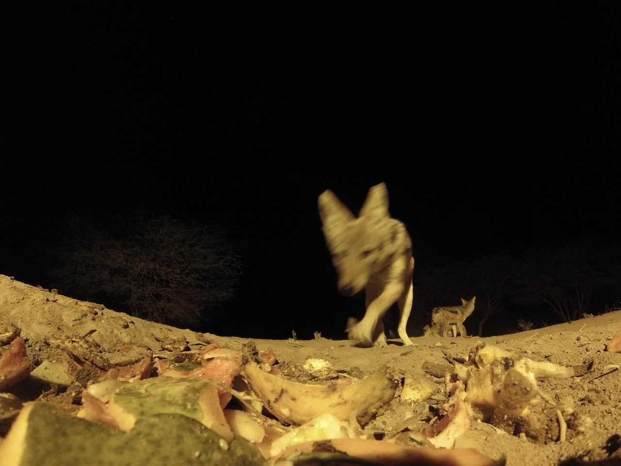 [9976] 2016_06_23_18_48_55_Africa_Hero3-Silver_Edition_IMG__01023.jpg