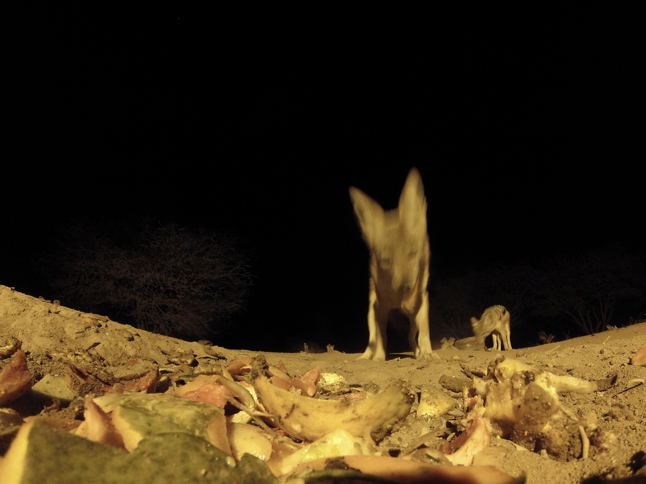 [9984] 2016_06_23_18_49_06_Africa_Hero3-Silver_Edition_IMG__01027.jpg