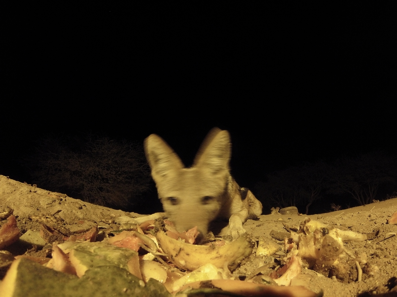 [9991] 2016_06_23_18_49_16_Africa_Hero3-Silver_Edition_IMG__00583.jpg