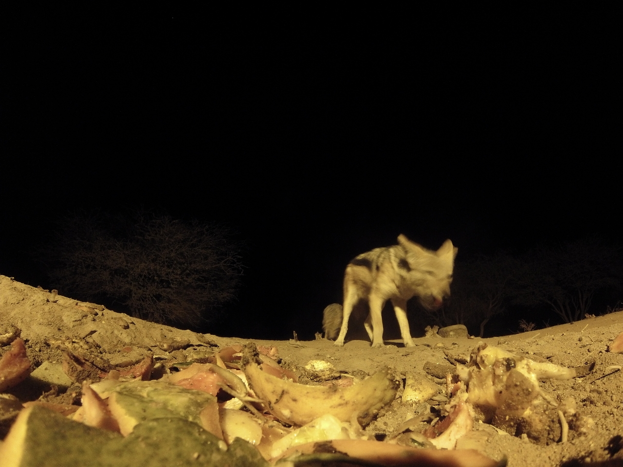 [9994] 2016_06_23_18_49_18_Africa_Hero3-Silver_Edition_IMG__01032.jpg