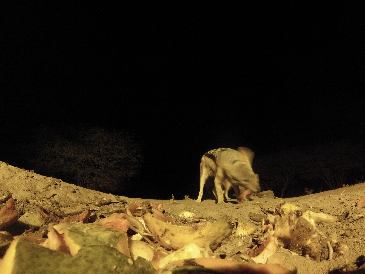 [9996] 2016_06_23_18_49_19_Africa_Hero3-Silver_Edition_IMG__01033.jpg