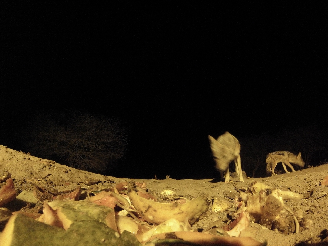 [9998] 2016_06_23_18_49_23_Africa_Hero3-Silver_Edition_IMG__01034.jpg