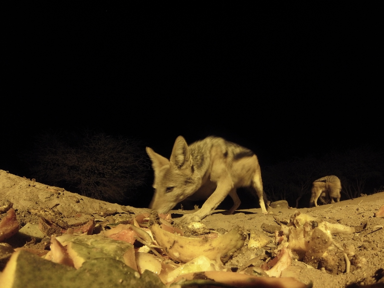 [9999] 2016_06_23_18_49_26_Africa_Hero3-Silver_Edition_IMG__00587.jpg