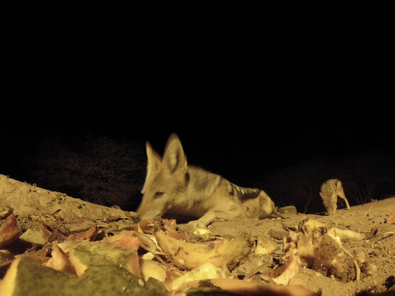 [10001] 2016_06_23_18_49_28_Africa_Hero3-Silver_Edition_IMG__00588.jpg