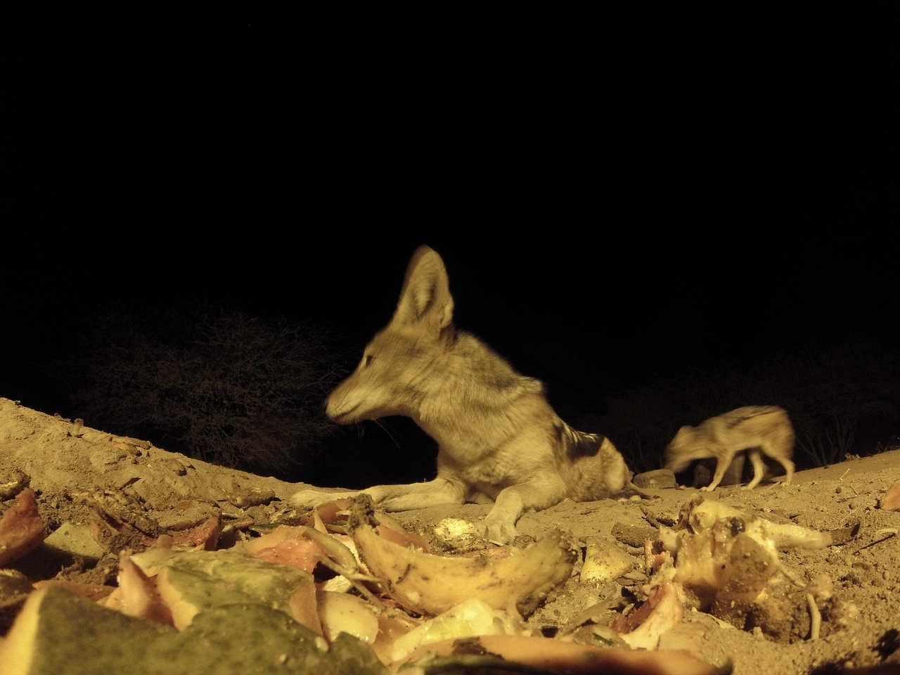 [10006] 2016_06_23_18_49_34_Africa_Hero3-Silver_Edition_IMG__01038.jpg