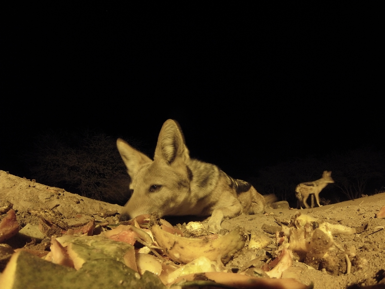 [10007] 2016_06_23_18_49_36_Africa_Hero3-Silver_Edition_IMG__00591.jpg