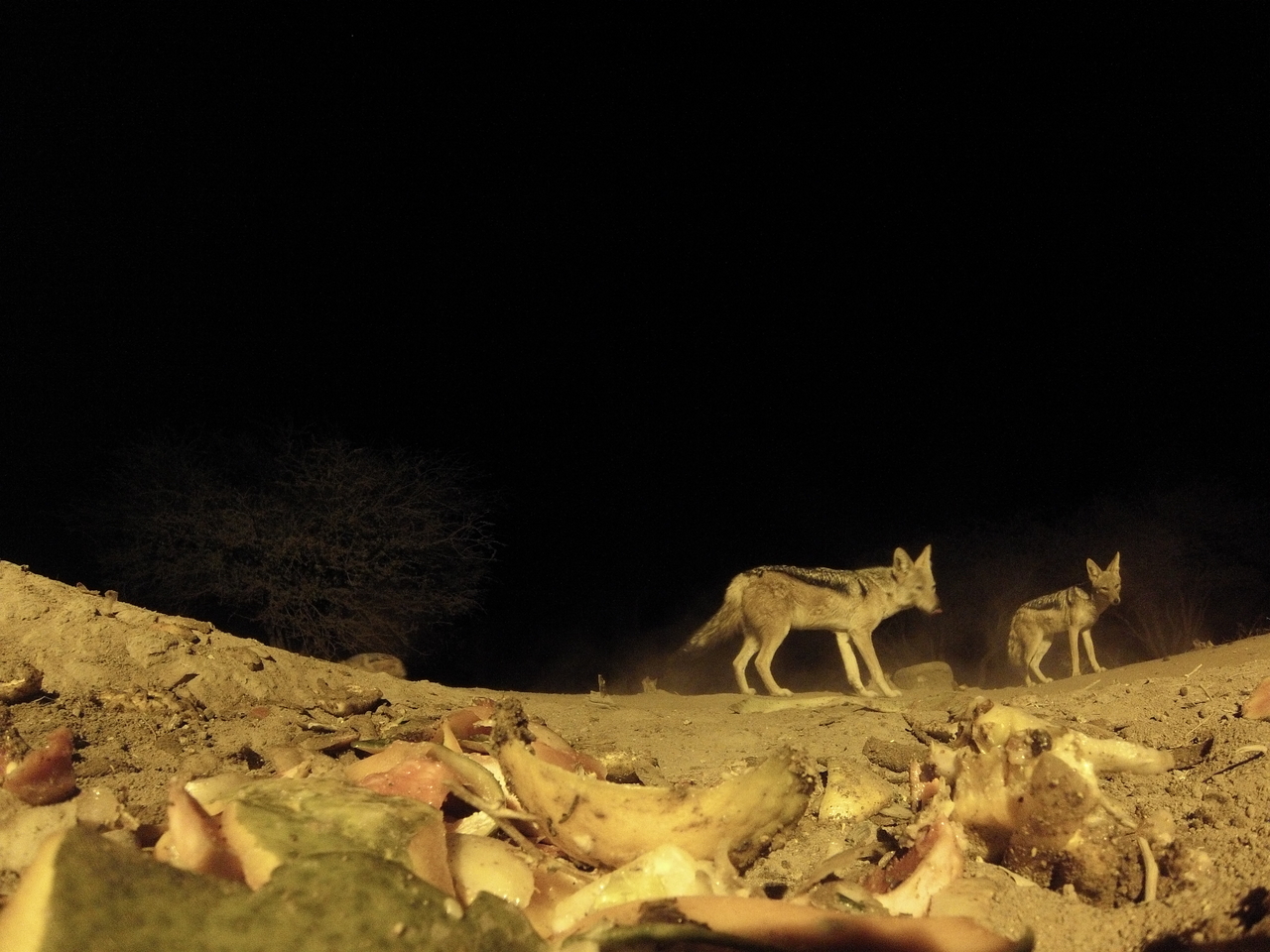 [10010] 2016_06_23_18_49_37_Africa_Hero3-Silver_Edition_IMG__01040.jpg