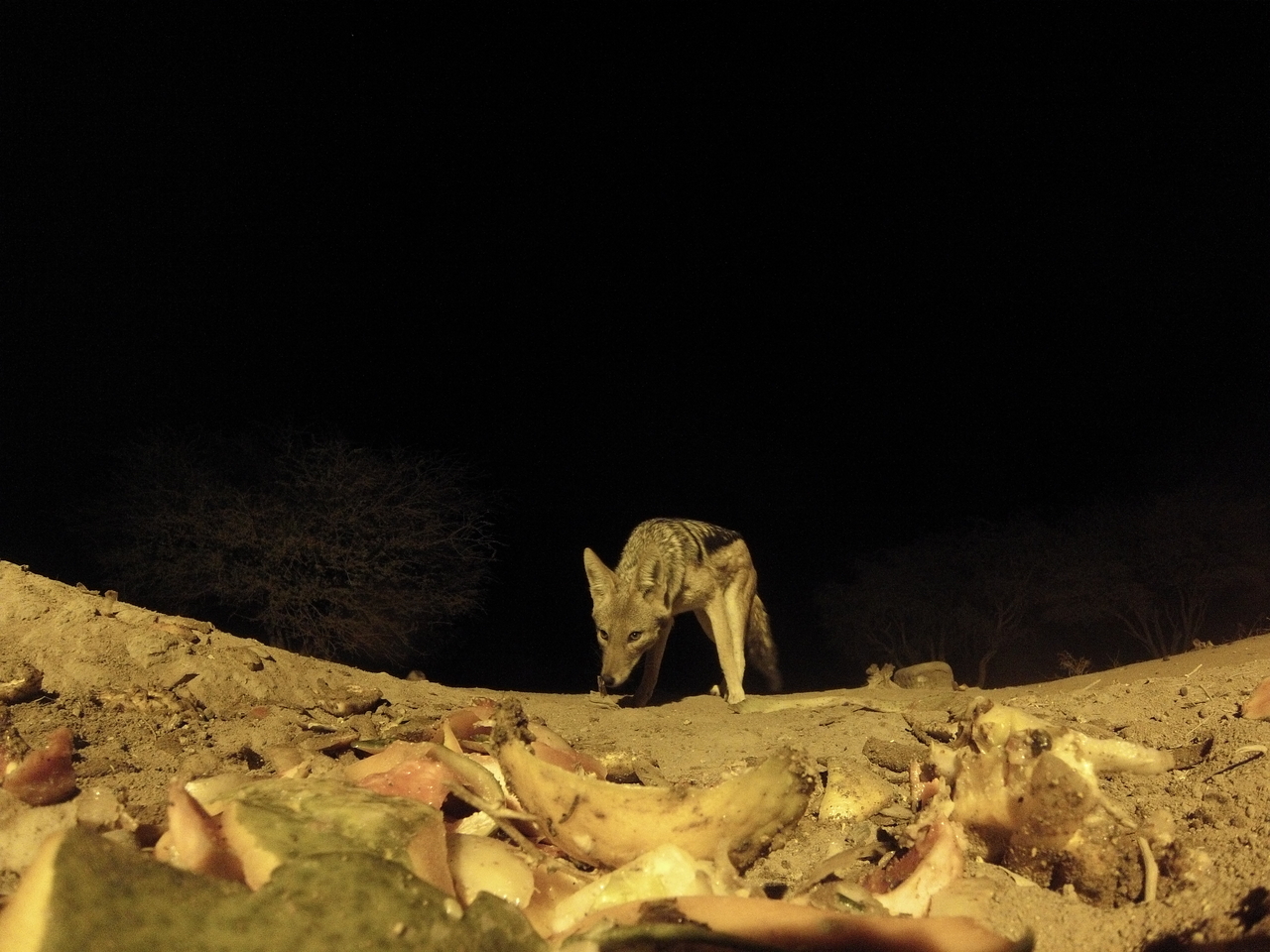 [10014] 2016_06_23_18_49_46_Africa_Hero3-Silver_Edition_IMG__01042.jpg