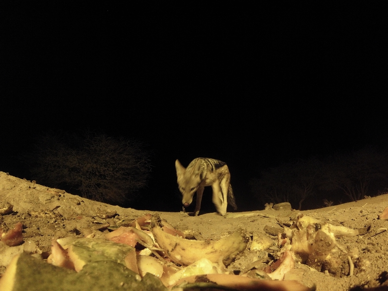 [10016] 2016_06_23_18_49_47_Africa_Hero3-Silver_Edition_IMG__01043.jpg