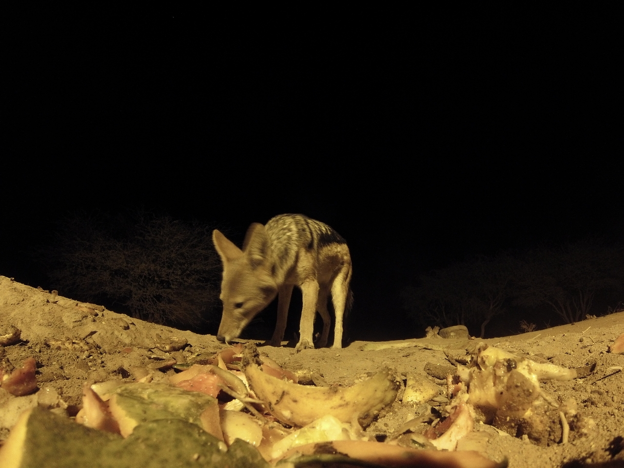 [10018] 2016_06_23_18_49_50_Africa_Hero3-Silver_Edition_IMG__01044.jpg