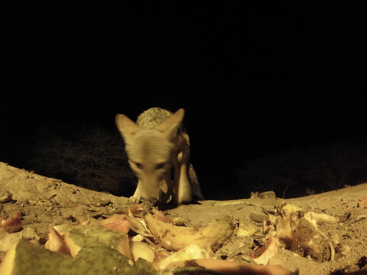 [10024] 2016_06_23_18_49_57_Africa_Hero3-Silver_Edition_IMG__01047.jpg