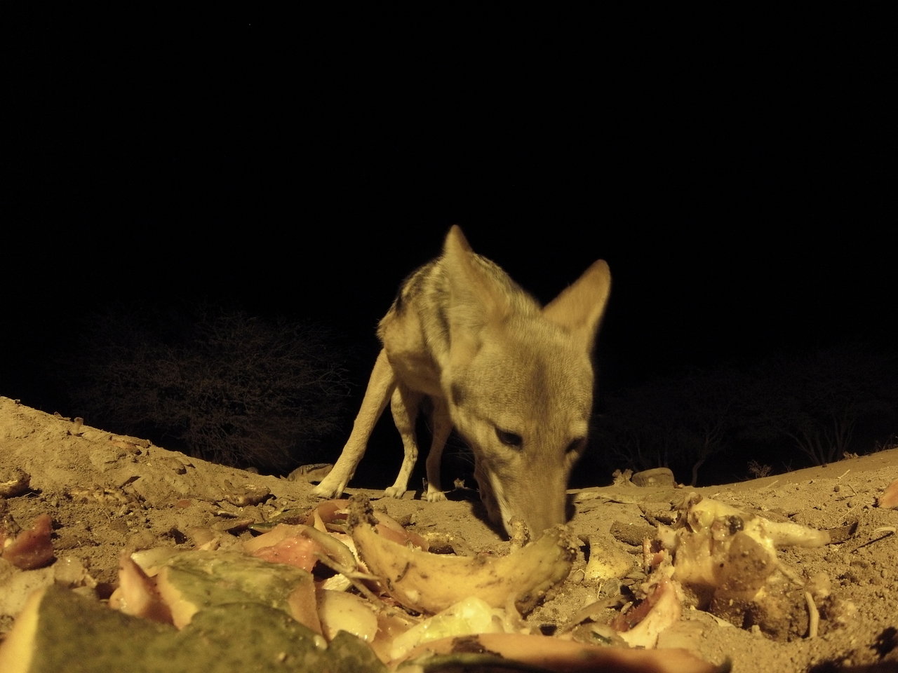 [10026] 2016_06_23_18_50_02_Africa_Hero3-Silver_Edition_IMG__01048.jpg