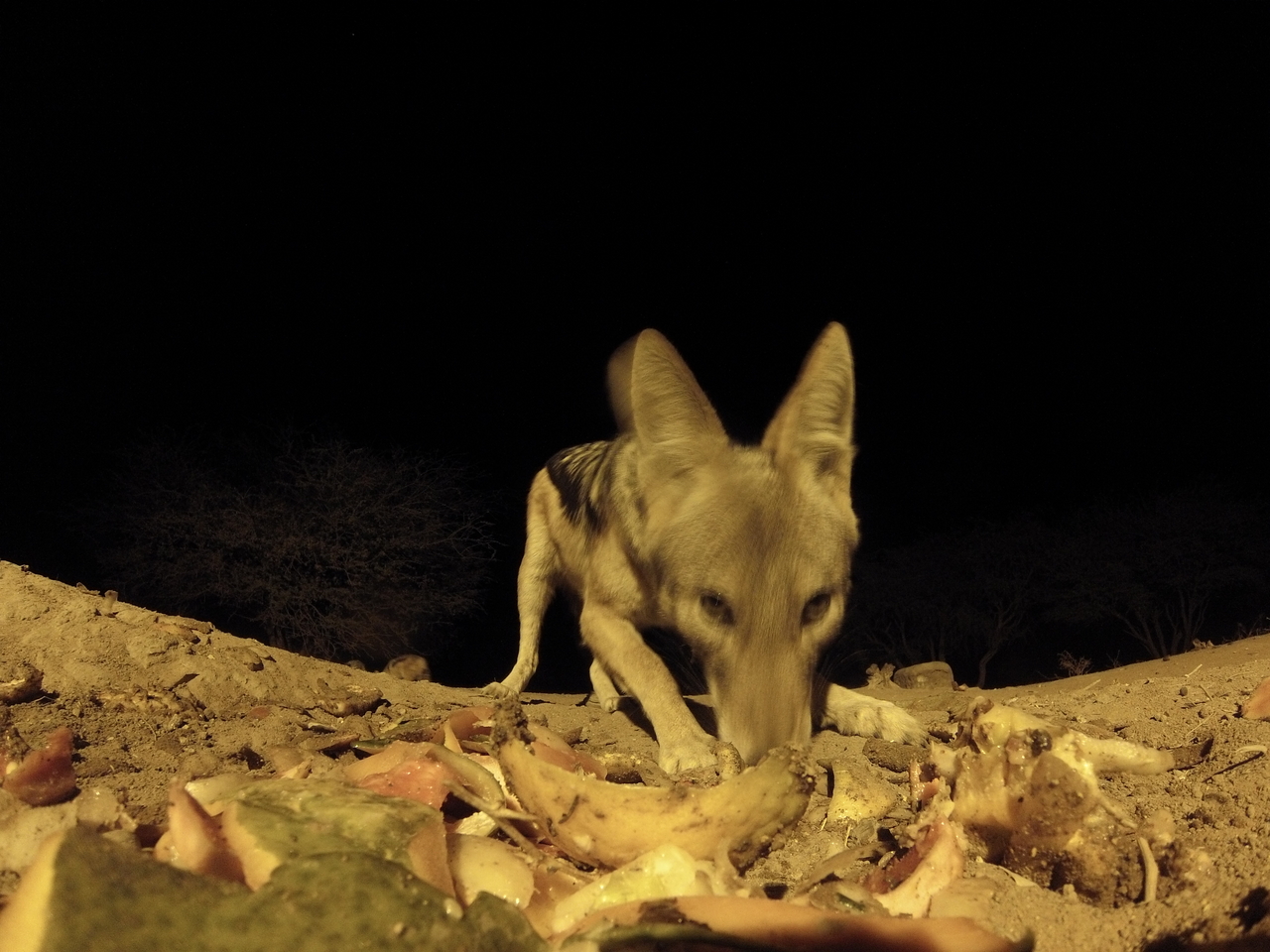 [10028] 2016_06_23_18_50_06_Africa_Hero3-Silver_Edition_IMG__01049.jpg