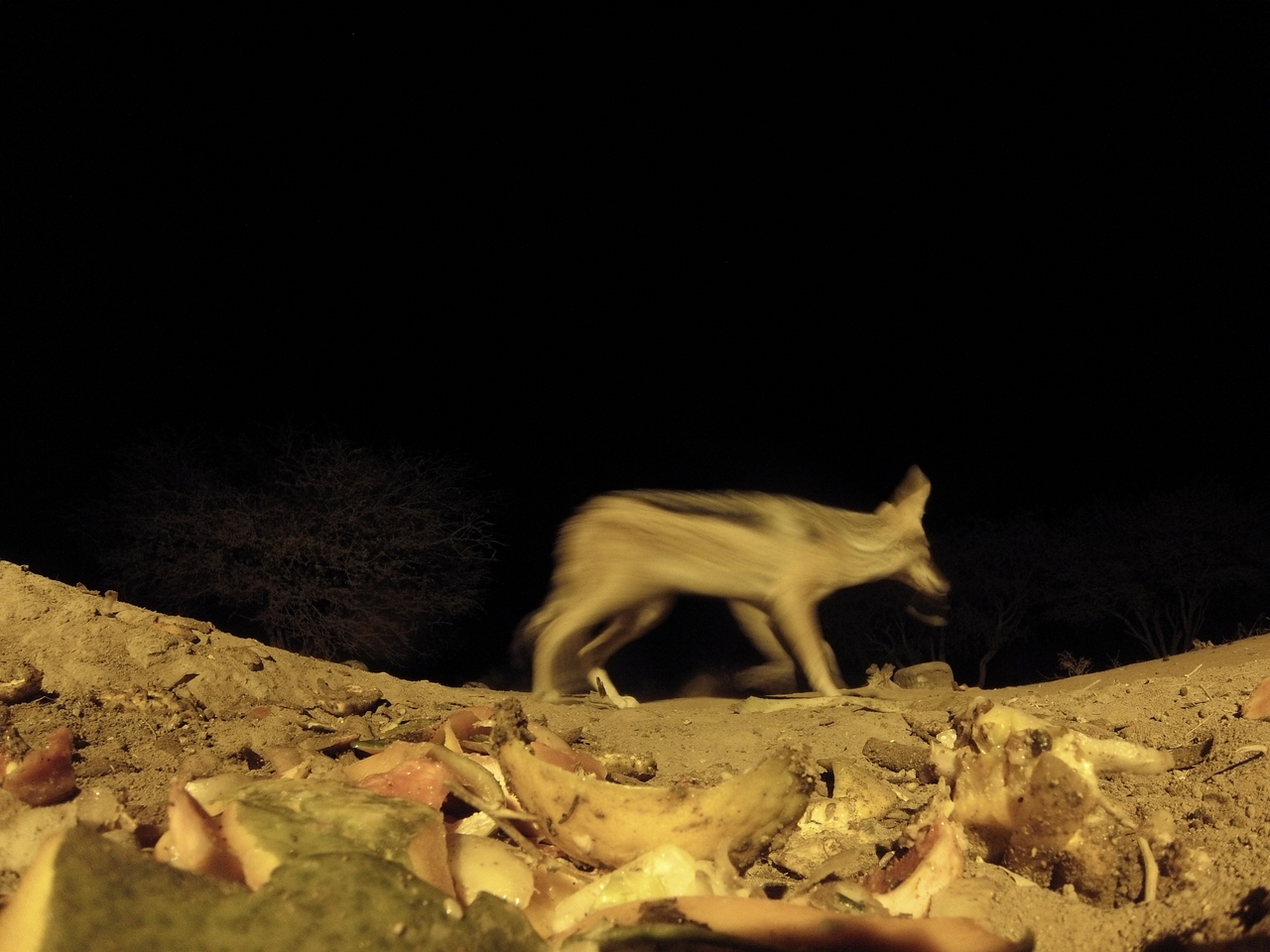 [10034] 2016_06_23_18_50_14_Africa_Hero3-Silver_Edition_IMG__01052.jpg