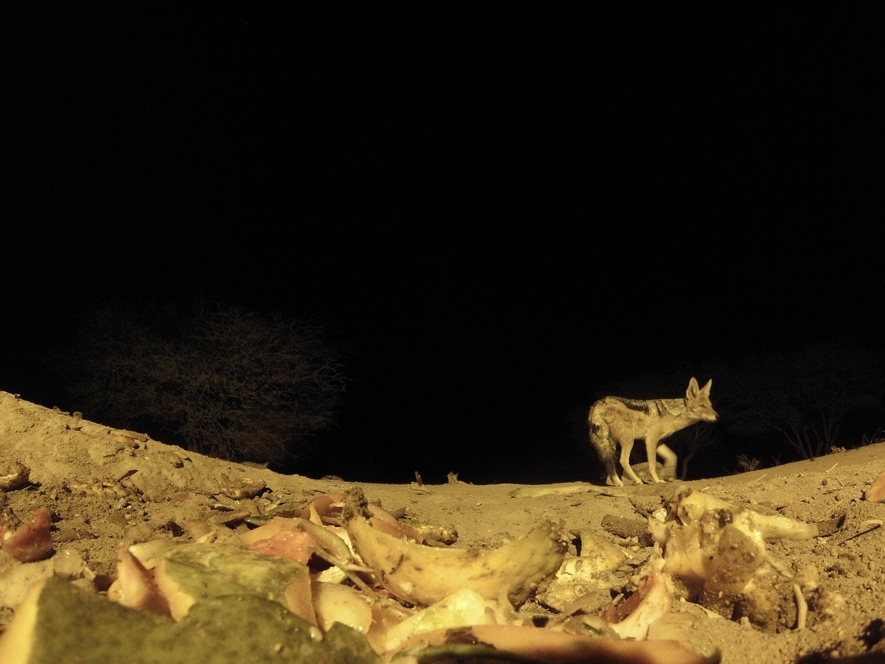 [10036] 2016_06_23_18_50_17_Africa_Hero3-Silver_Edition_IMG__01053.jpg