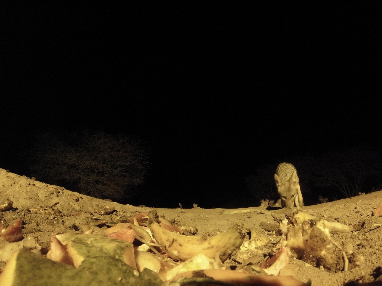 [10037] 2016_06_23_18_50_19_Africa_Hero3-Silver_Edition_IMG__00606.jpg