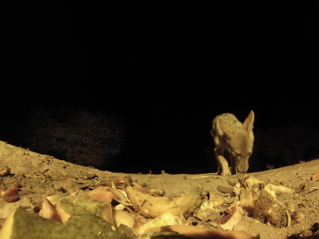 [10043] 2016_06_23_18_50_27_Africa_Hero3-Silver_Edition_IMG__00609.jpg