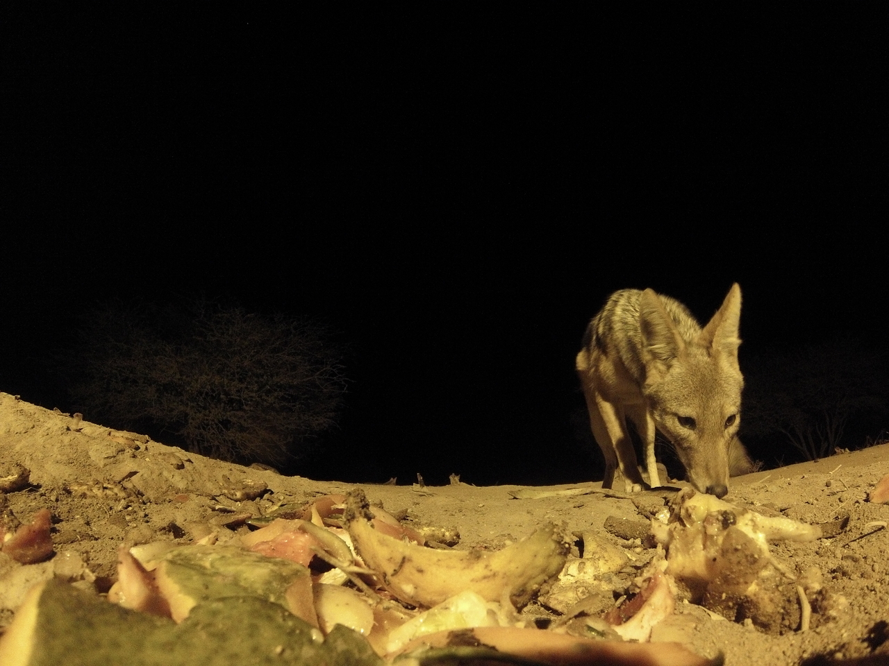 [10045] 2016_06_23_18_50_29_Africa_Hero3-Silver_Edition_IMG__00610.jpg