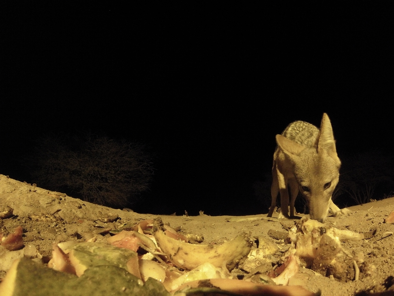 [10048] 2016_06_23_18_50_33_Africa_Hero3-Silver_Edition_IMG__01059.jpg