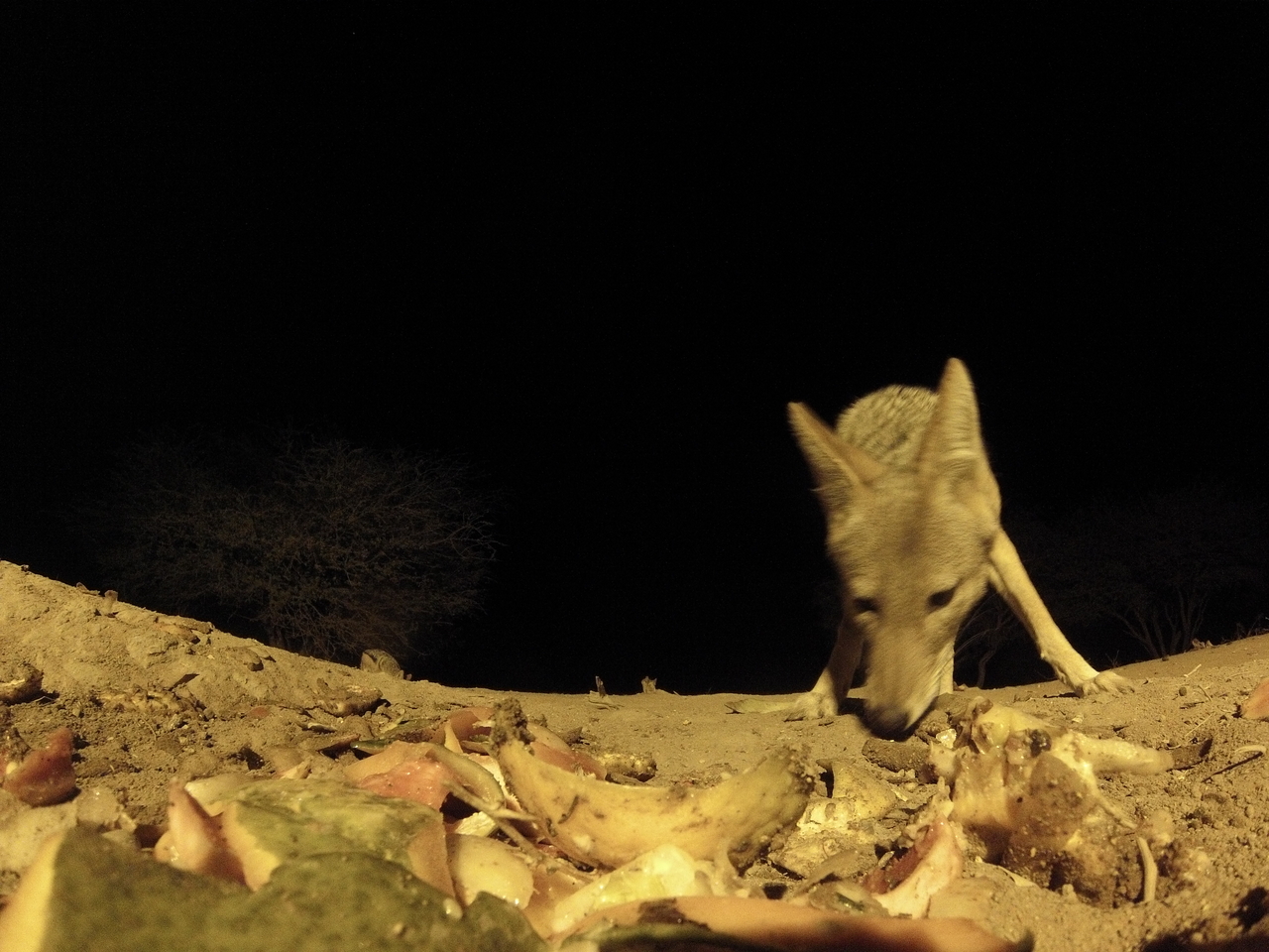 [10049] 2016_06_23_18_50_37_Africa_Hero3-Silver_Edition_IMG__00612.jpg