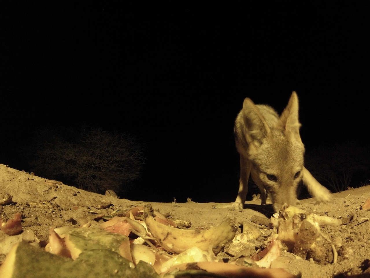 [10052] 2016_06_23_18_50_39_Africa_Hero3-Silver_Edition_IMG__01061.jpg