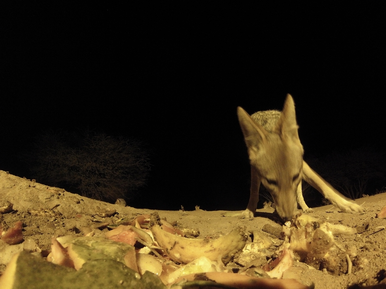 [10054] 2016_06_23_18_50_41_Africa_Hero3-Silver_Edition_IMG__01062.jpg