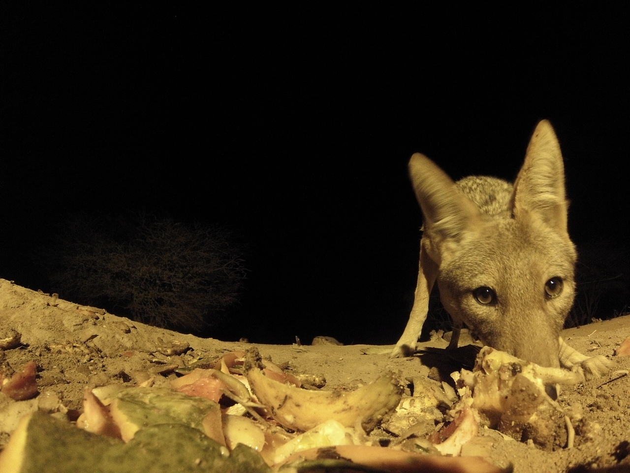 [10059] 2016_06_23_18_50_49_Africa_Hero3-Silver_Edition_IMG__00617.jpg