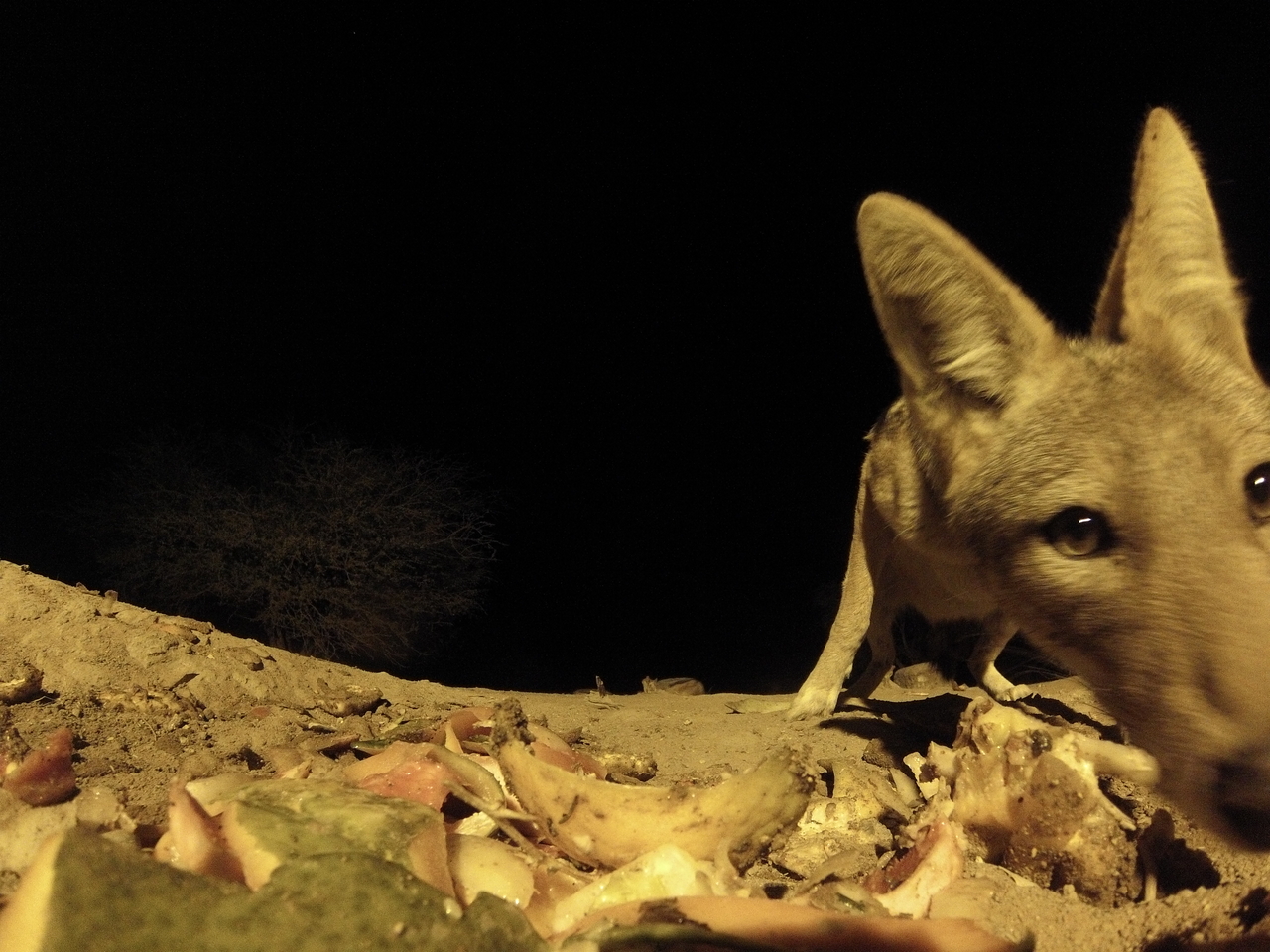 [10061] 2016_06_23_18_50_53_Africa_Hero3-Silver_Edition_IMG__00618.jpg