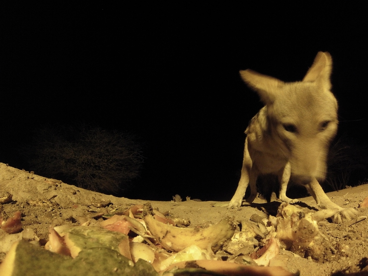 [10063] 2016_06_23_18_50_55_Africa_Hero3-Silver_Edition_IMG__00619.jpg