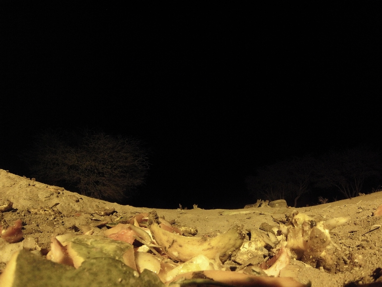 [10073] 2016_06_23_18_51_05_Africa_Hero3-Silver_Edition_IMG__01070.jpg