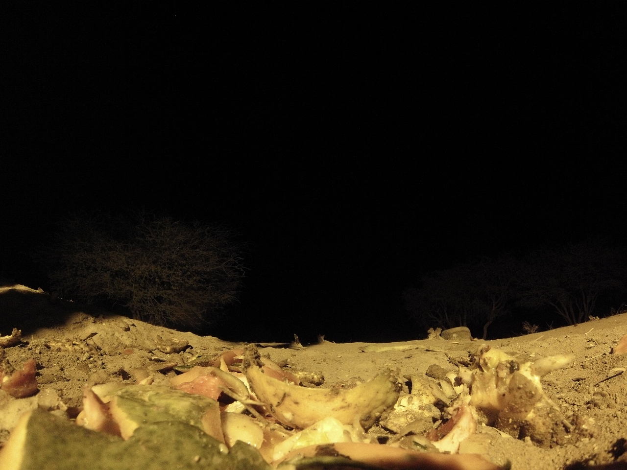 [10089] 2016_06_23_18_51_27_Africa_Hero3-Silver_Edition_IMG__01078.jpg