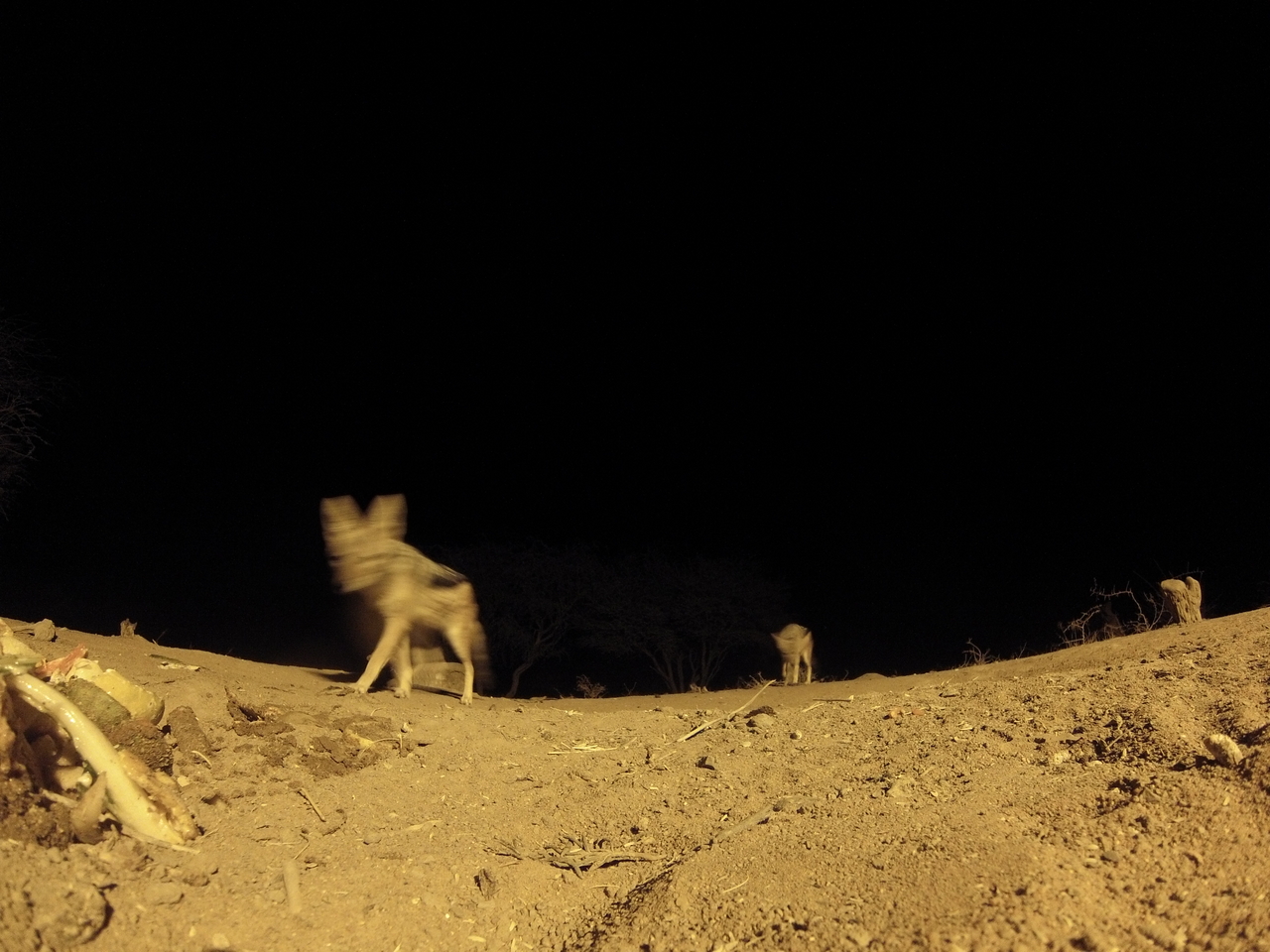 [10158] 2016_06_23_19_00_56_Africa_Hero3-Silver_Edition_IMG__00648.jpg