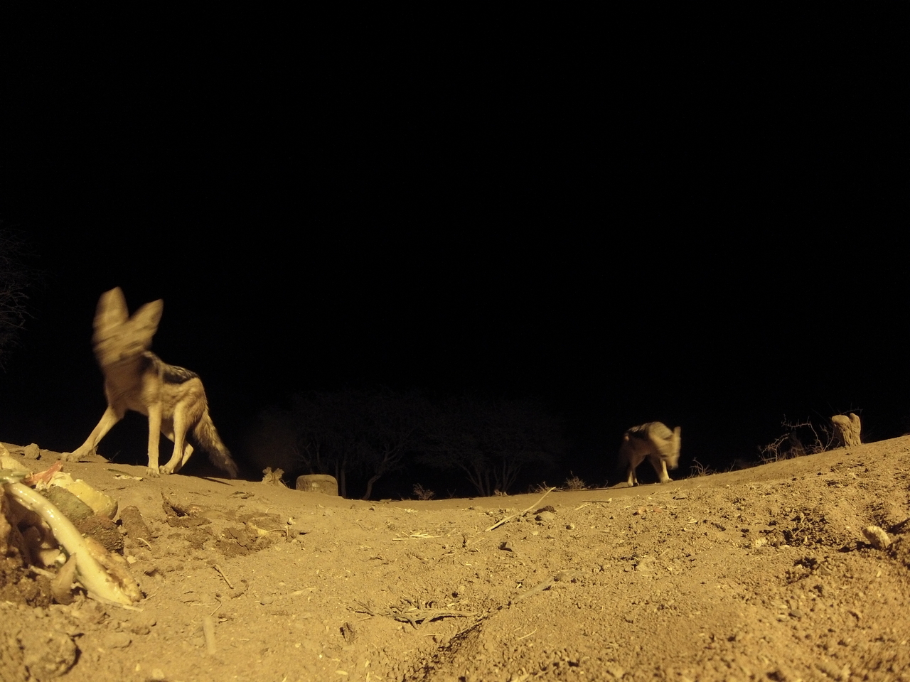 [10161] 2016_06_23_19_00_58_Africa_Hero3-Silver_Edition_IMG__01097.jpg