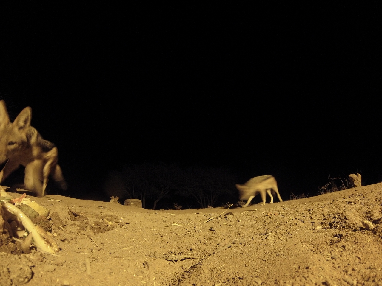 [10162] 2016_06_23_19_01_00_Africa_Hero3-Silver_Edition_IMG__00650.jpg