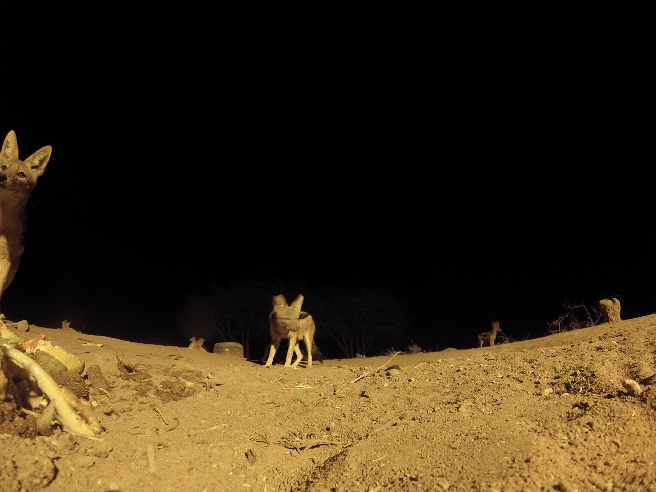 [10175] 2016_06_23_19_01_10_Africa_Hero3-Silver_Edition_IMG__01102.jpg