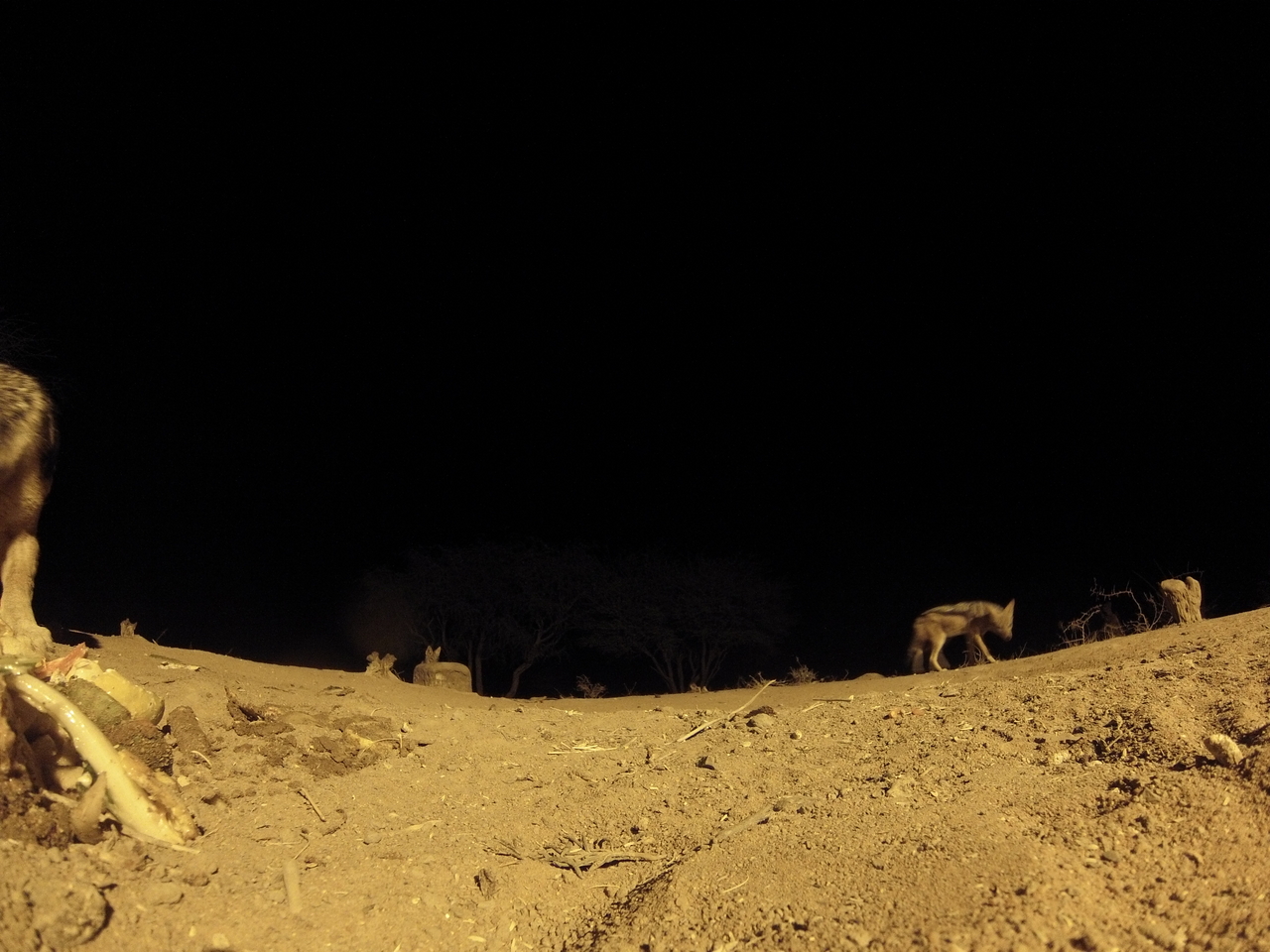 [10182] 2016_06_23_19_01_16_Africa_Hero3-Silver_Edition_IMG__00656.jpg