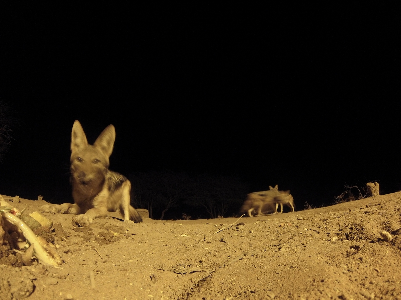 [10199] 2016_06_23_19_01_30_Africa_Hero3-Silver_Edition_IMG__00661.jpg