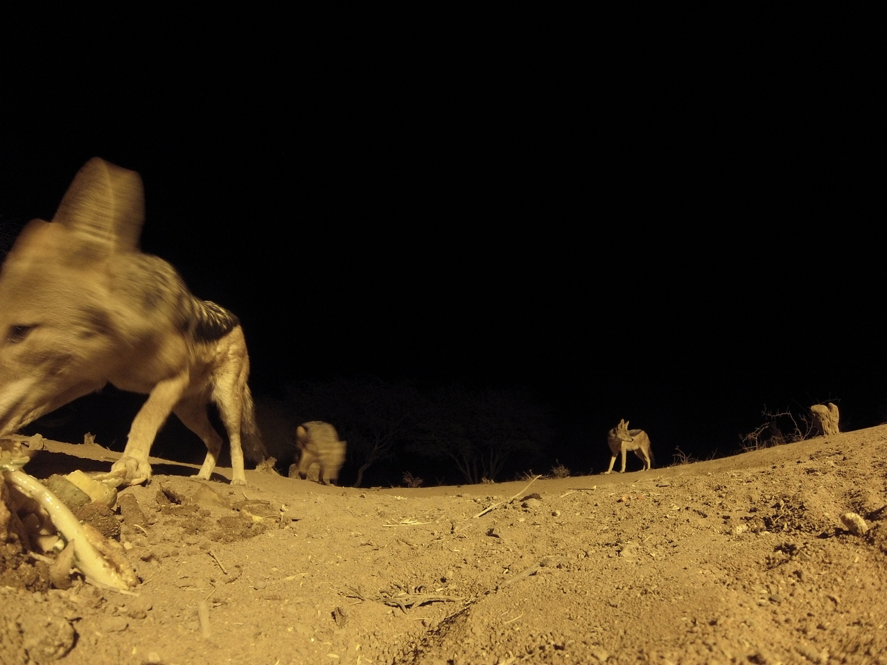 [10224] 2016_06_23_19_01_52_Africa_Hero3-Silver_Edition_IMG__00667.jpg