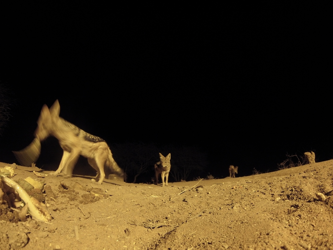 [10230] 2016_06_23_19_01_58_Africa_Hero3-Silver_Edition_IMG__00669.jpg