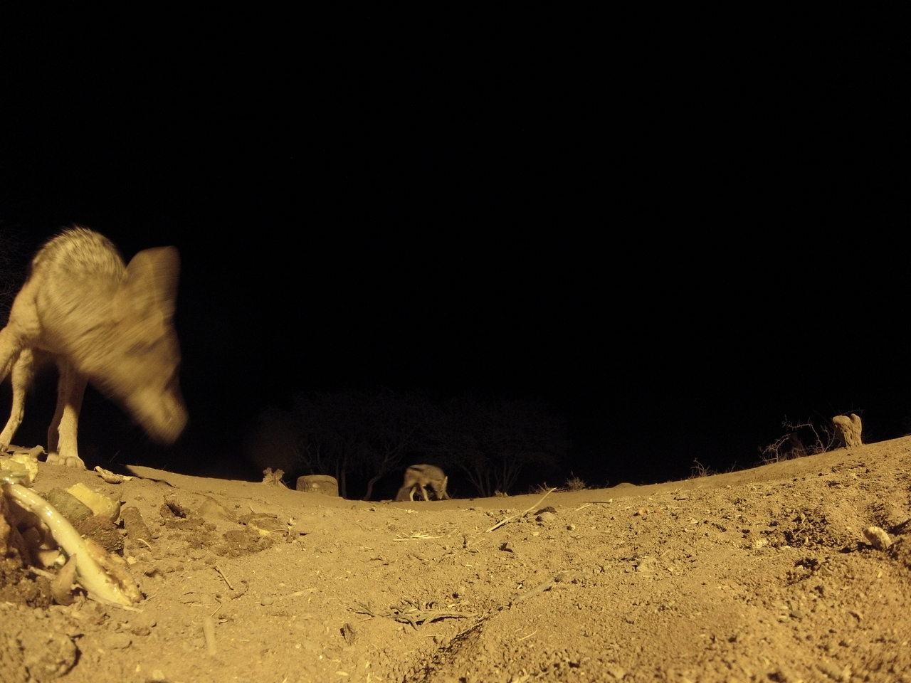 [10258] 2016_06_23_19_02_20_Africa_Hero3-Silver_Edition_IMG__00679.jpg