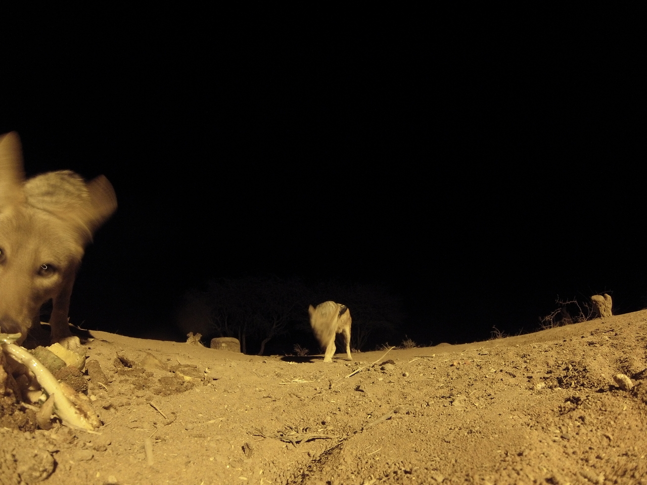 [10266] 2016_06_23_19_02_26_Africa_Hero3-Silver_Edition_IMG__00681.jpg