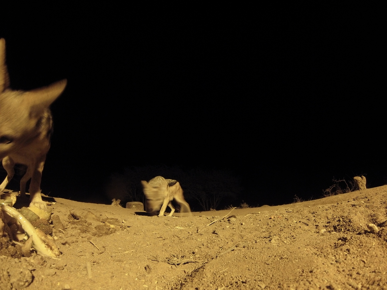 [10268] 2016_06_23_19_02_28_Africa_Hero3-Silver_Edition_IMG__00682.jpg