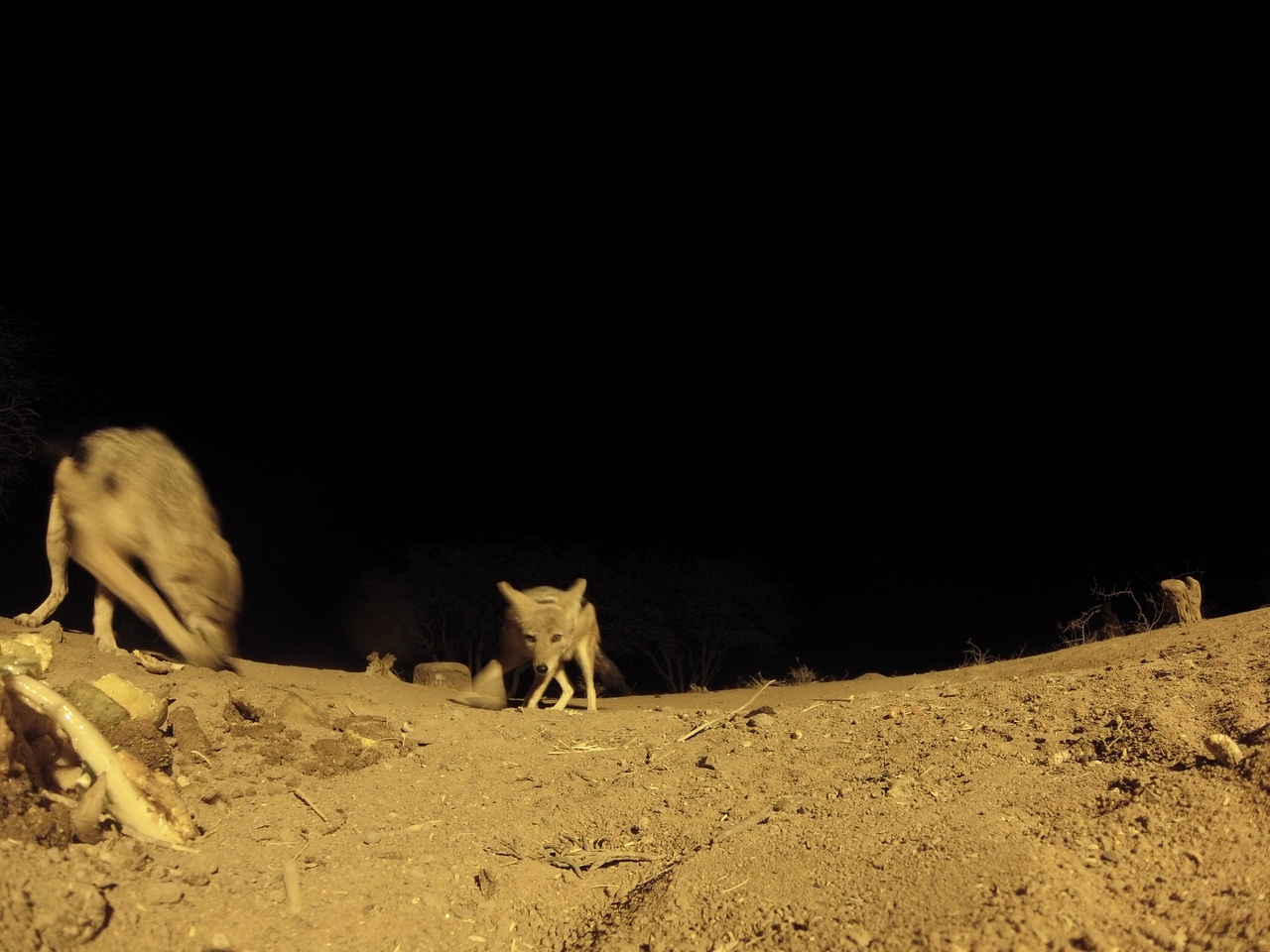 [10272] 2016_06_23_19_02_32_Africa_Hero3-Silver_Edition_IMG__00683.jpg