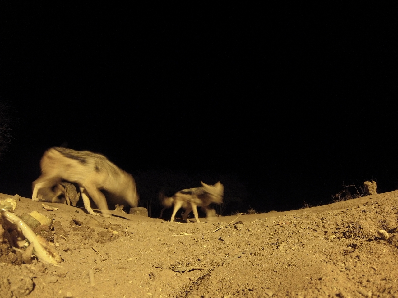 [10274] 2016_06_23_19_02_34_Africa_Hero3-Silver_Edition_IMG__00684.jpg