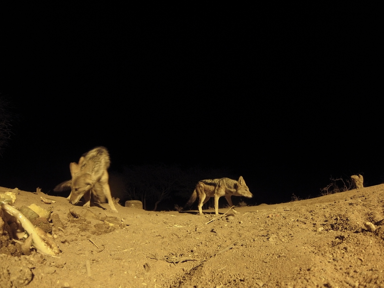 [10279] 2016_06_23_19_02_36_Africa_Hero3-Silver_Edition_IMG__01133.jpg