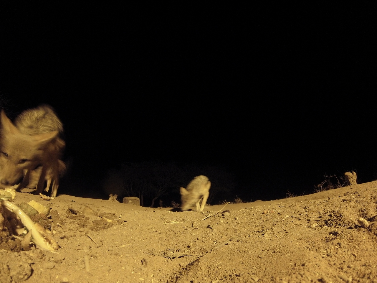 [10280] 2016_06_23_19_02_40_Africa_Hero3-Silver_Edition_IMG__00686.jpg